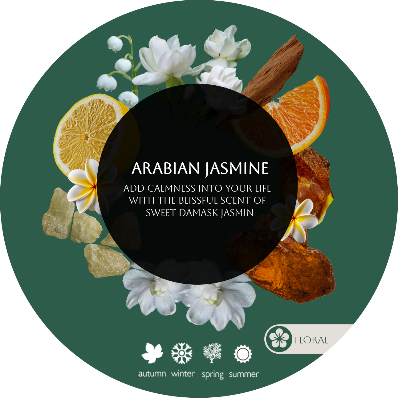 ARABIAN JASMINE 1