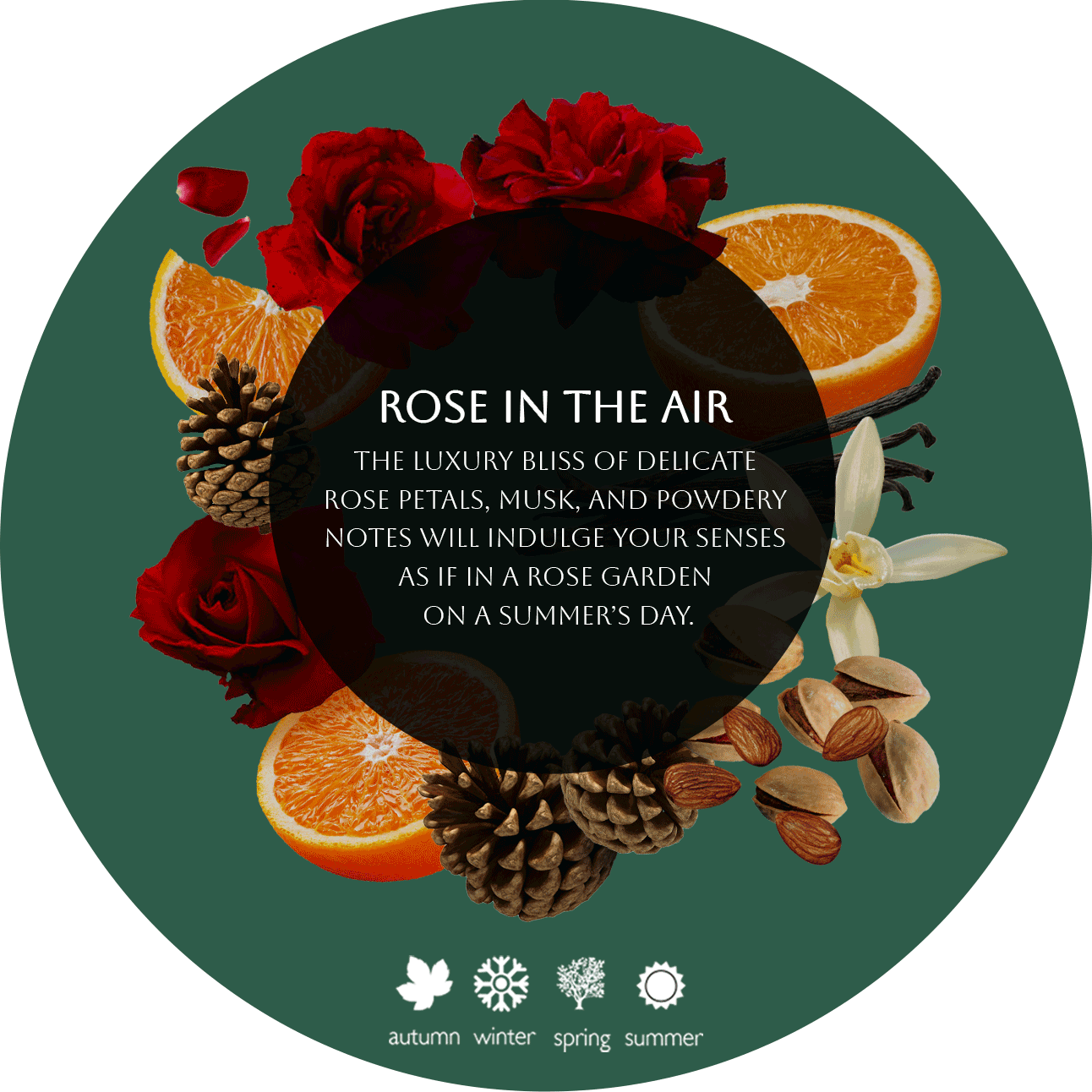 ROSE IN THE AIR