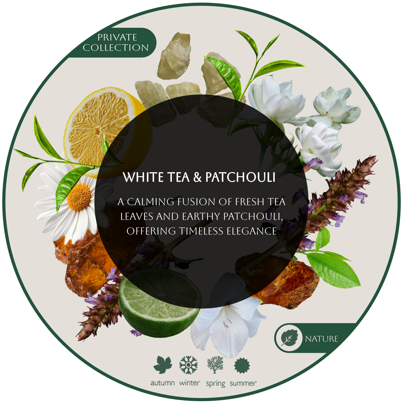 WHITE-TEA-&-Patchouli White Tea & Patchouli For Business - Image 1
