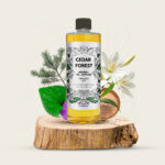 Cedar Forest - Image 2