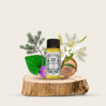 Cedar Forest - Image 3