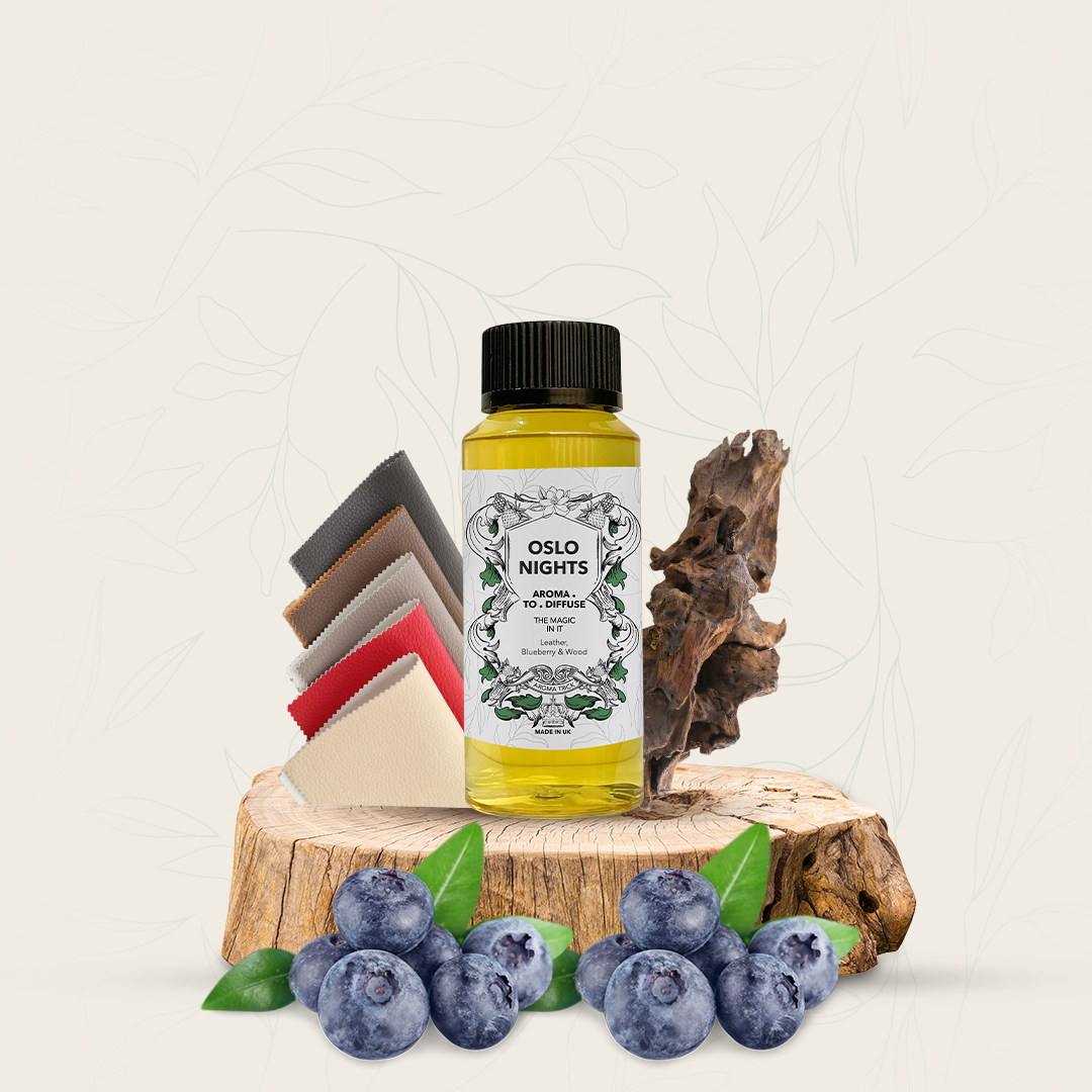 OSLO NIGHTS 100ml