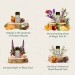 The Regal Oud Set - Image 2